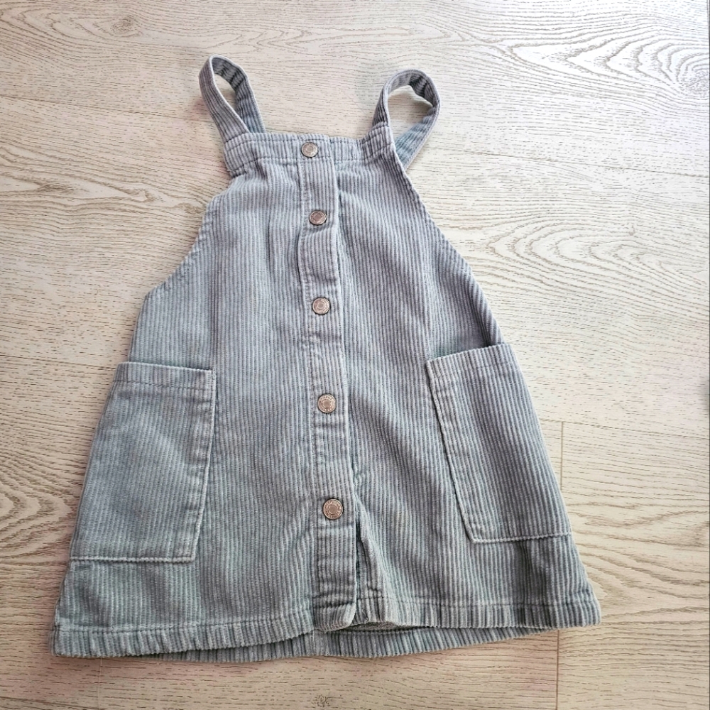Zara dress